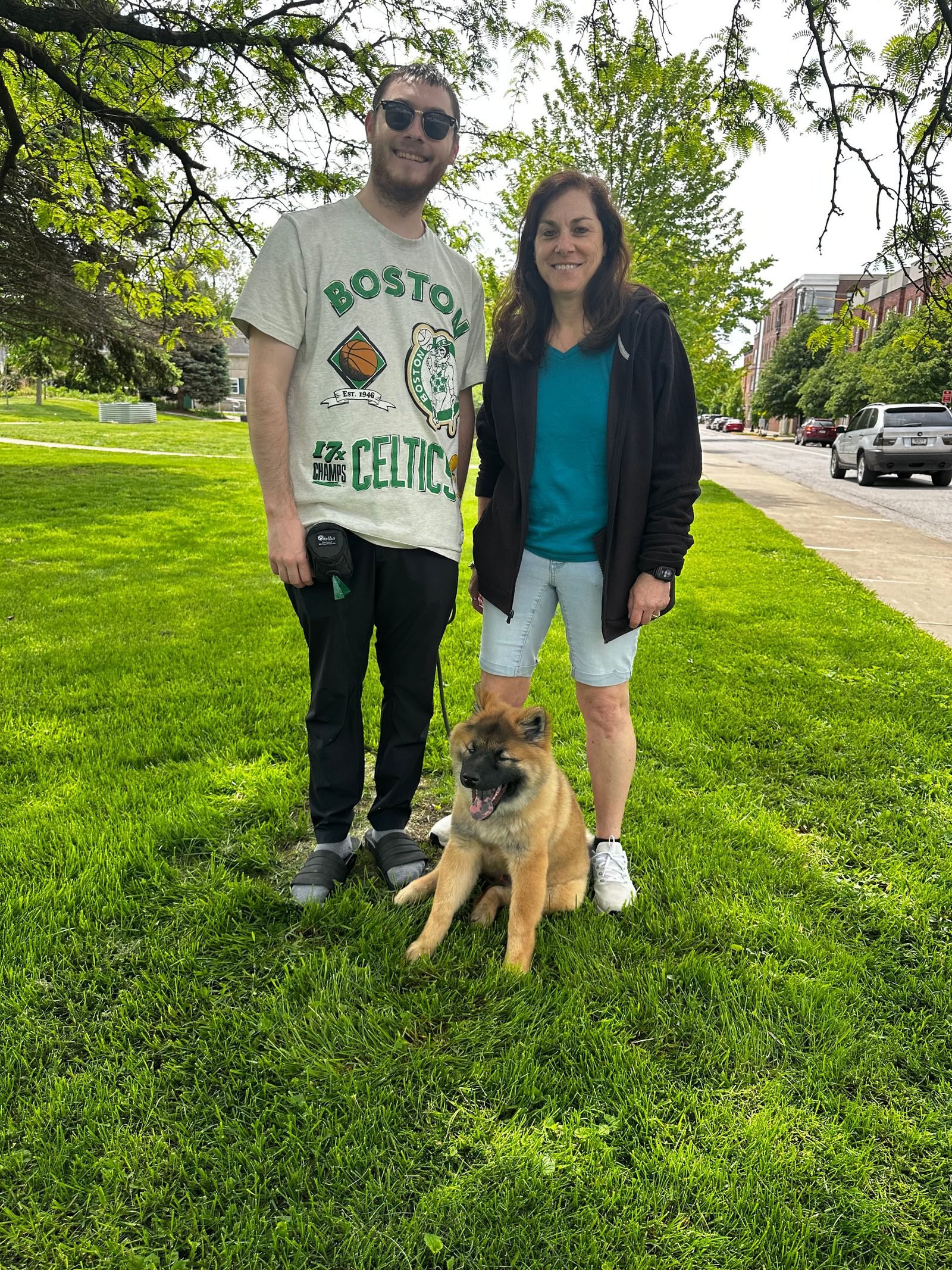 Training a young shepherd mix at home with the family