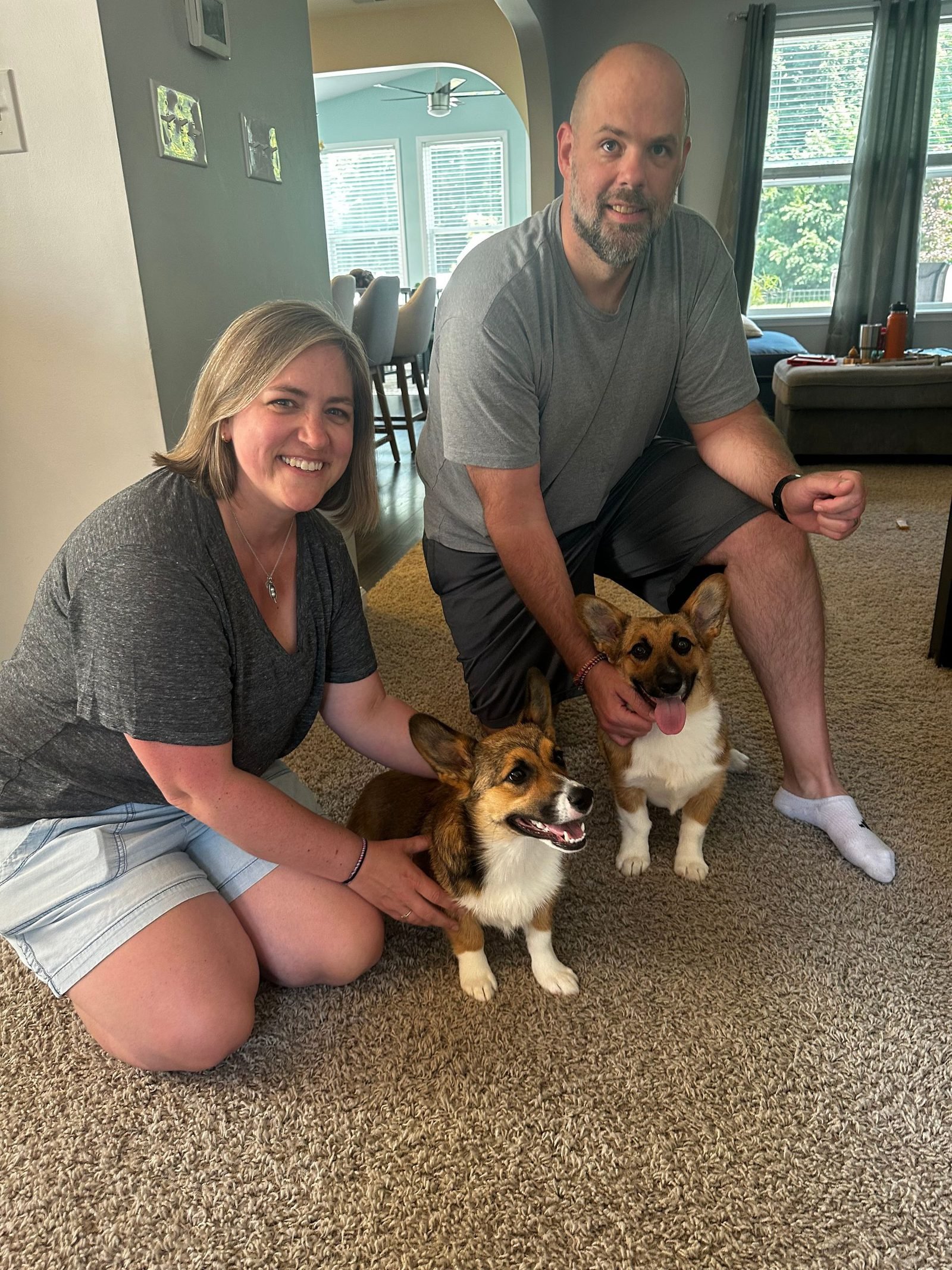 Family practicing training with their corgis at home