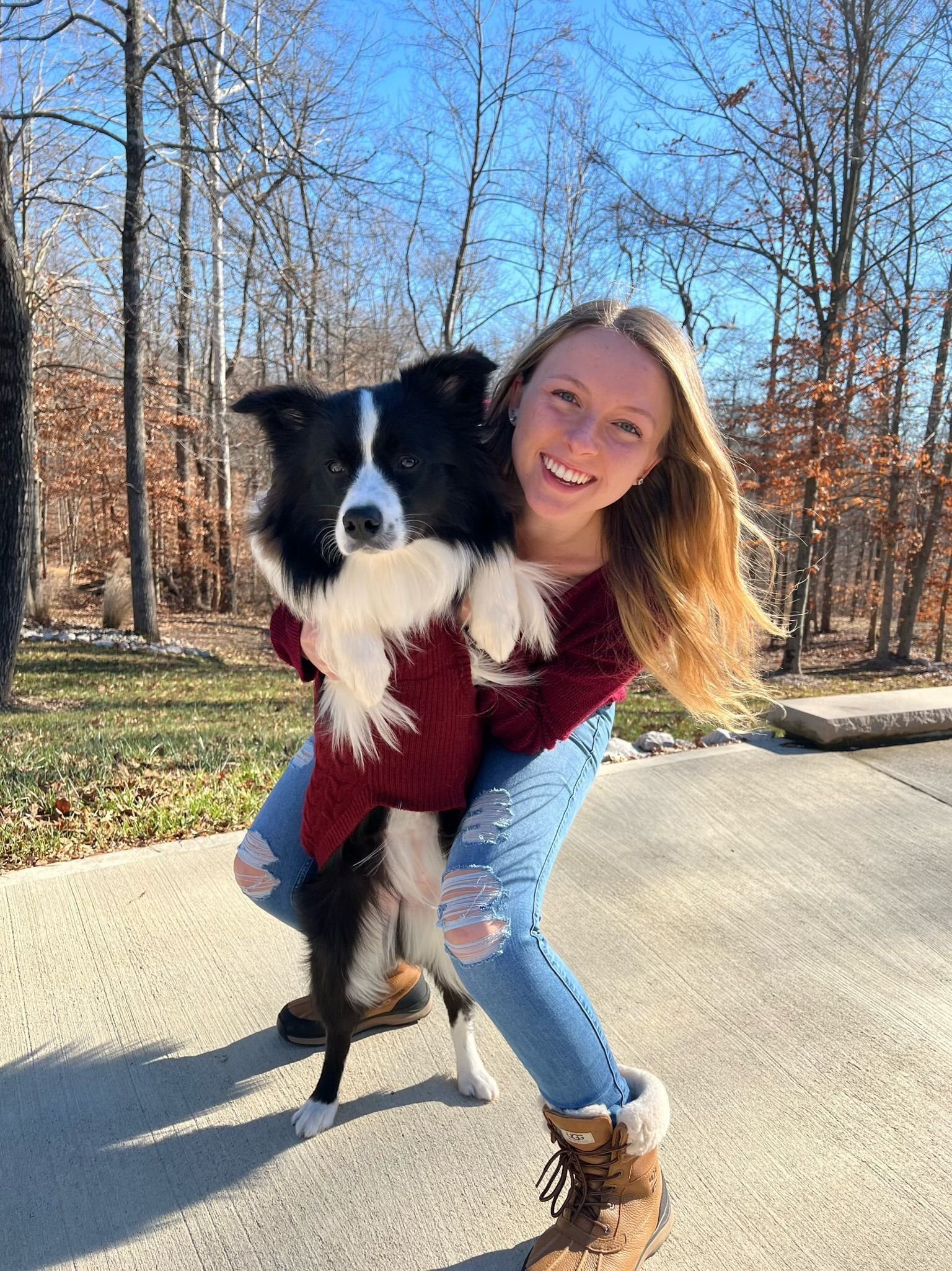 Border collie coming when called during outdoor training